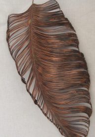 Large feather